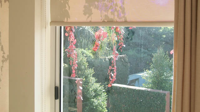 Cortinas2