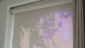Cortinas3